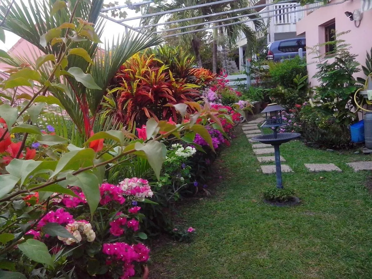 Appartement Charmant A Sainte-Anne - Terrasse Et Jardin