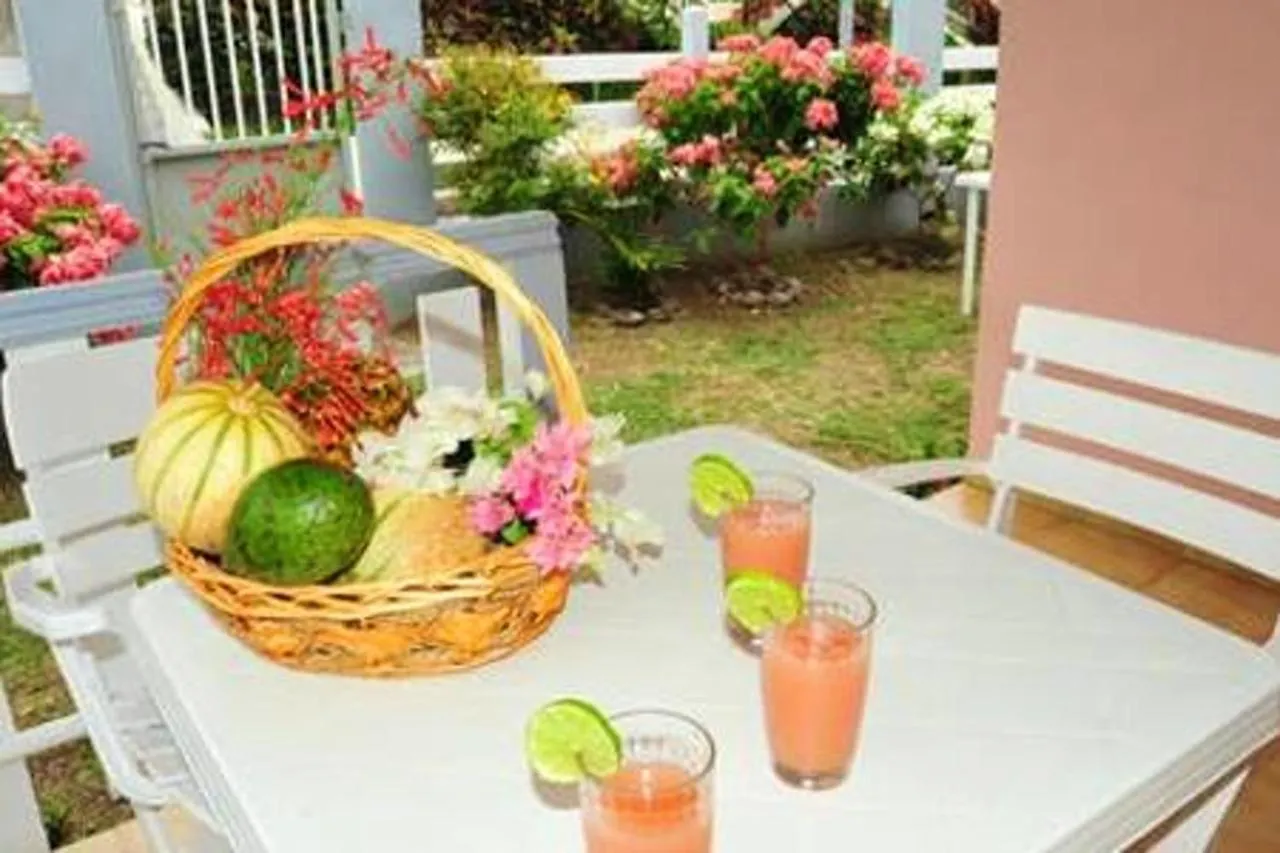 Appartement Charmant A Sainte-Anne - Terrasse Et Jardin Martinique